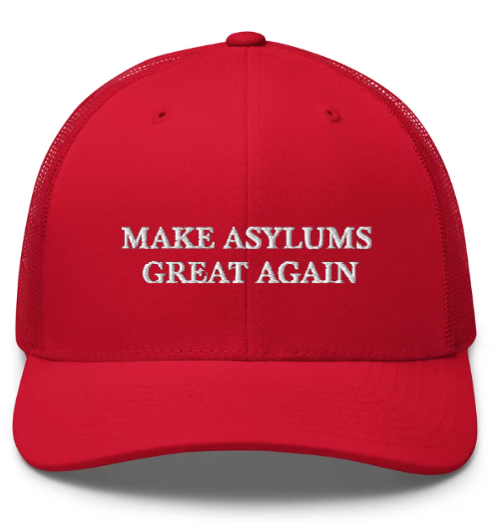 MAKE ASYLUMS GREAT AGAIN hat